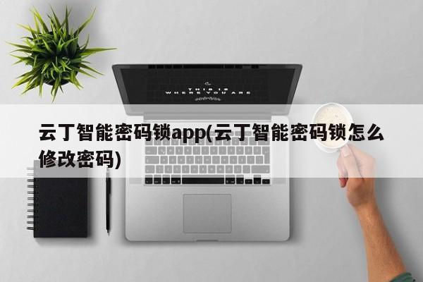 云丁智能密码锁app(云丁智能密码锁怎么修改密码) 第1张