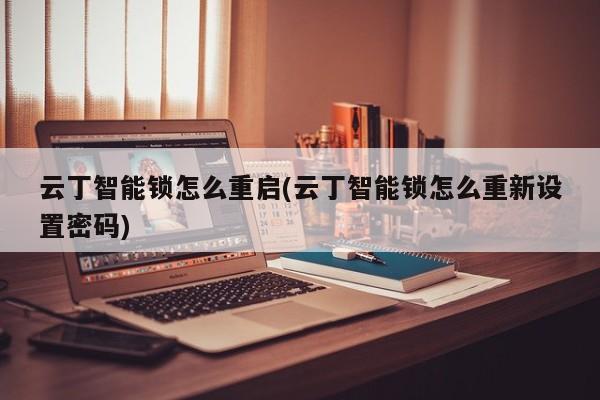 云丁智能锁怎么重启(云丁智能锁怎么重新设置密码) 第1张