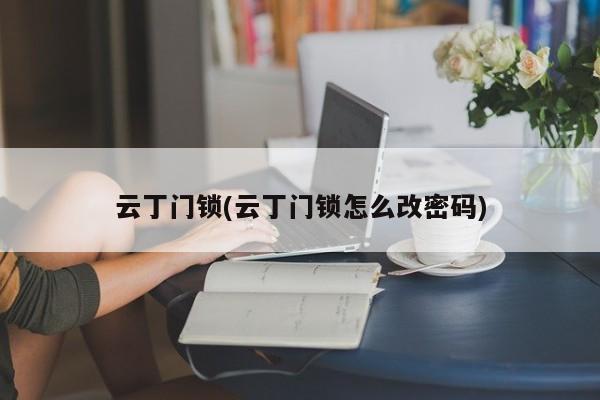 云丁门锁(云丁门锁怎么改密码)