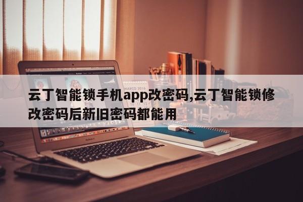 云丁智能锁手机app改密码,云丁智能锁修改密码后新旧密码都能用 第1张