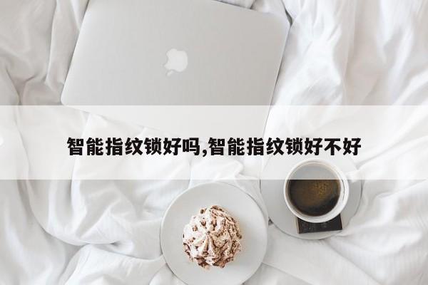 智能指纹锁好吗,智能指纹锁好不好 第1张