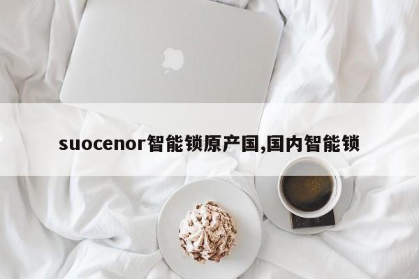 suocenor智能锁原产国,国内智能锁