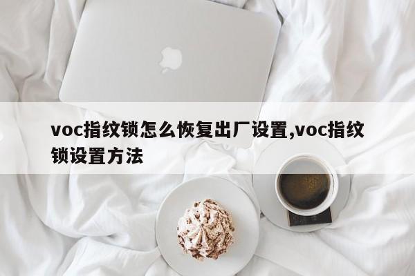 voc指纹锁怎么恢复出厂设置,voc指纹锁设置方法 第1张