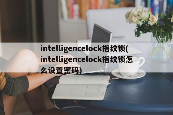 intelligencelock指纹锁(intelligencelock指纹锁怎么设置密码) 第1张