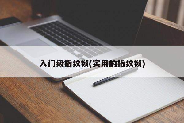 入门级指纹锁(实用的指纹锁)